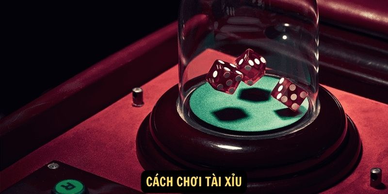 Bỏ Túi Ngay Cách Chơi Tài Xỉu 78WIN Hốt Bạc Cực Dễ 5 Cách chơi tài xỉu