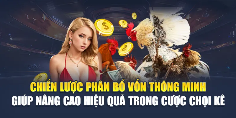 Khám Phá Cược Đá Gà Tỷ Lệ Hấp Dẫn Tại Nhà Cái 78WIN 6 Chiến lược phân bổ vốn thông minh giúp nâng cao hiệu quả trong cược chọi kê