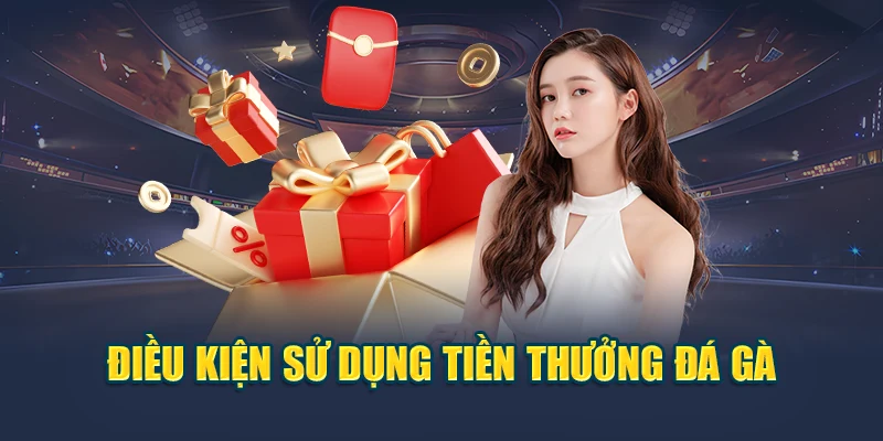 Khuyến Mãi Nạp Đầu Đá Gà Tặng Thưởng 50% Cực Chất Tại 78WIN 6 Điều kiện sử dụng tiền thưởng đá gà