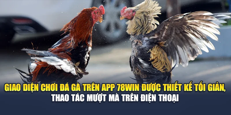 Trải Nghiệm Chơi Đá Gà Trên App Đỉnh Cao Cùng Nhà Cái 78WIN 4 Giao diện chơi đá gà trên app 78WIN được thiết kế tối giản, thao tác mượt mà trên điện thoại