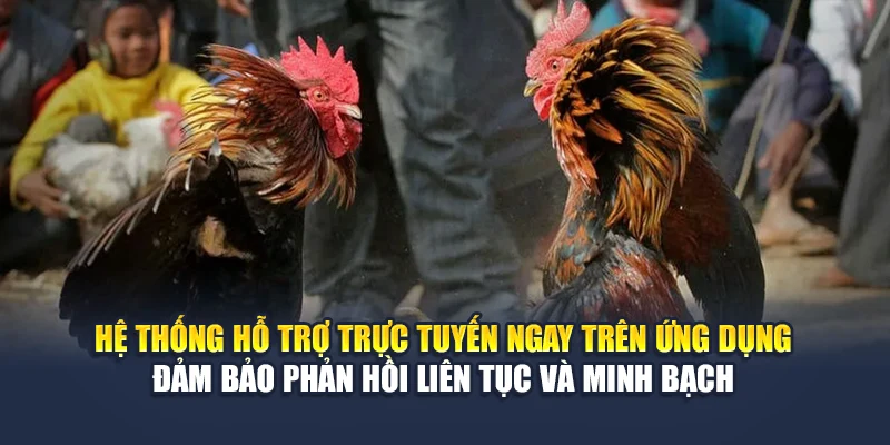 Trải Nghiệm Chơi Đá Gà Trên App Đỉnh Cao Cùng Nhà Cái 78WIN 6 Hệ thống hỗ trợ trực tuyến ngay trên ứng dụng đảm bảo phản hồi liên tục và minh bạch