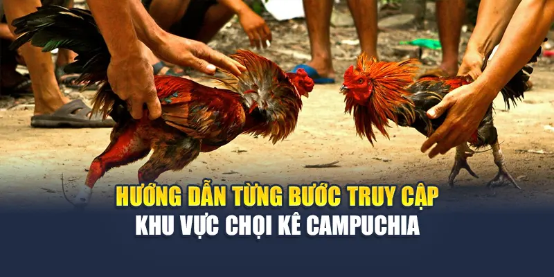 Đá Gà Campuchia Thử Thách Mới Lạ Kịch Tính Cho Bạn 6 Hướng dẫn từng bước truy cập khu vực chọi kê Campuchia