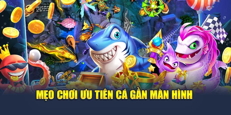 Bắn Cá Xèng Tại 78WIN – Săn Xu Dễ Dàng, Chơi Cực Mê 6 Mẹo chơi ưu tiên cá gần màn hình