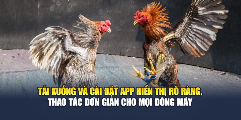 Trải Nghiệm Chơi Đá Gà Trên App Đỉnh Cao Cùng Nhà Cái 78WIN 5 Tải xuống và cài đặt app hiển thị rõ ràng, thao tác đơn giản cho mọi dòng máy